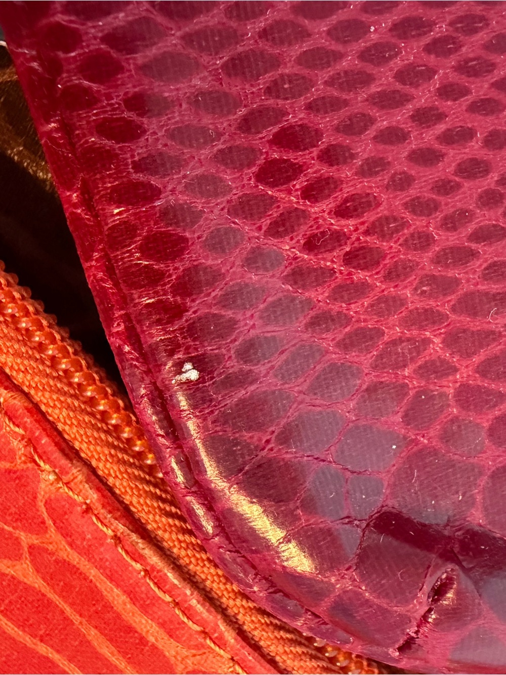 Multi-Color Snake-Embossed Wristlet Set - Picture 9 of 9